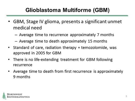 glioblastoma stage 4 no treatment